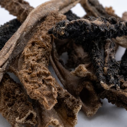 chompo kuzu i̇şkembe şerit köpek ödül maması  katkısız 100 gr