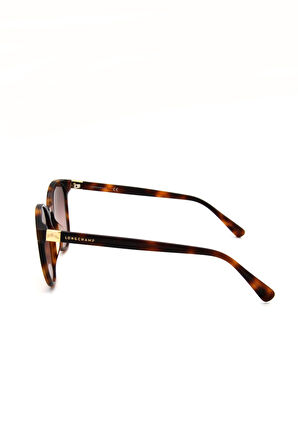 LONGCHAMP LO 658S C214 KADIN GÜNEŞ GÖZLÜĞÜ