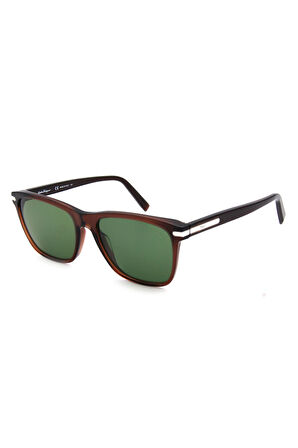 Salvatore Ferragamo SF 992S C210 ERKEK GÜNEŞ GÖZLÜ