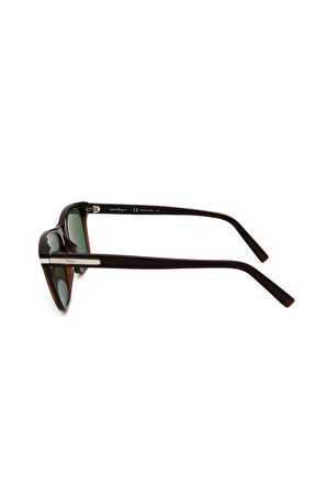 Salvatore Ferragamo SF 992S C210 ERKEK GÜNEŞ GÖZLÜ