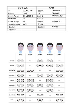 LONGCHAMP LO 669S 272 KADIN GÜNEŞ GÖZLÜĞÜ