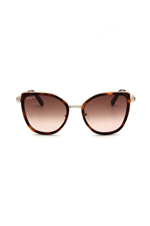 Salvatore Ferragamo SF 293S C723 KADIN GÜNEŞ GÖZLÜ