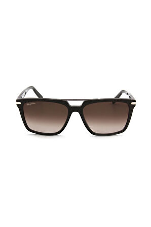 Salvatore Ferragamo SF 1037S C208 ERKEK GÜNEŞ GÖZL