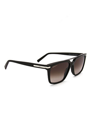 Salvatore Ferragamo SF 1037S C208 ERKEK GÜNEŞ GÖZL