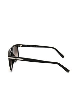 Salvatore Ferragamo SF 1037S C208 ERKEK GÜNEŞ GÖZL