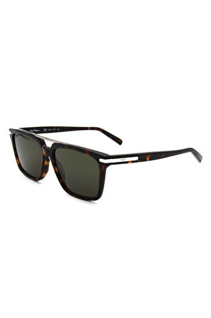 Salvatore Ferragamo SF 1037S C240 ERKEK GÜNEŞ GÖZL
