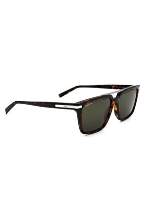 Salvatore Ferragamo SF 1037S C240 ERKEK GÜNEŞ GÖZL