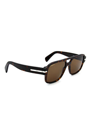 Salvatore Ferragamo SF 1038S C240 ERKEK GÜNEŞ GÖZL