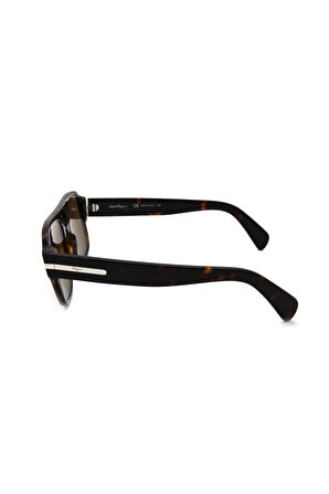 Salvatore Ferragamo SF 1038S C240 ERKEK GÜNEŞ GÖZL
