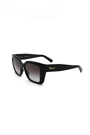 Salvatore Ferragamo SF 1042S 001 KADIN GÜNEŞ GÖZLÜ