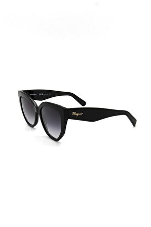 Salvatore Ferragamo SF 1061S 001 KADIN GÜNEŞ GÖZLÜ