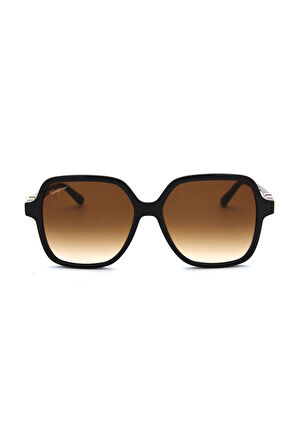 Salvatore Ferragamo SF 1083S C208 KADIN GÜNEŞ GÖZL