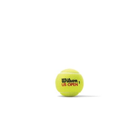 US OPEN XD TBALL 3 BALL CAN ( WRT106200 )