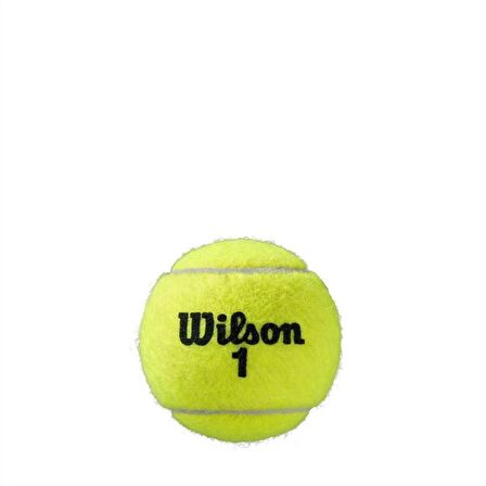 TENİS TOPU ROLAND GARROS CLAY CT 3 BALL WRT125000