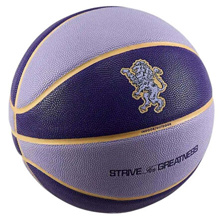 All Court 2.0 8P L. James  Unisex Mor Basketbol Topu N.100.4368.509.07