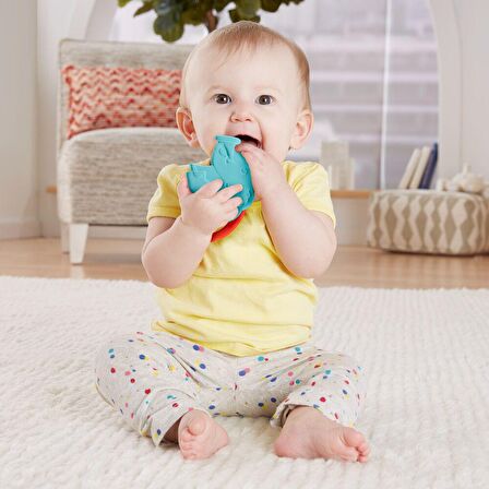 Fisher Price Sevimli Hayvancıklar Dişlikler Mavi Fil GYN25