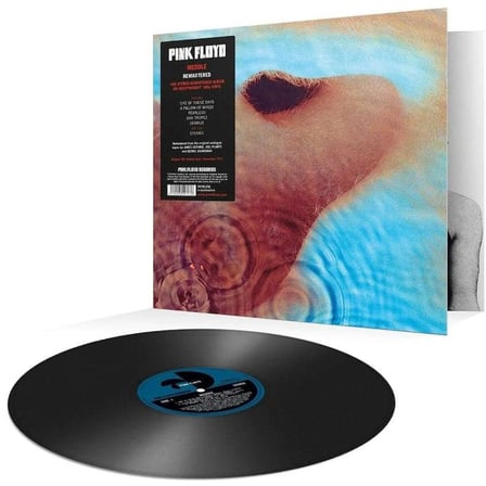 Pink Floyd Meddle 2016 Remastered Plak 180 Gram Rock
