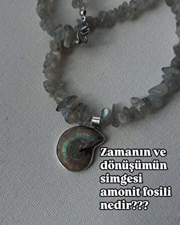 Amonit fosili uçlu labradorit kolye