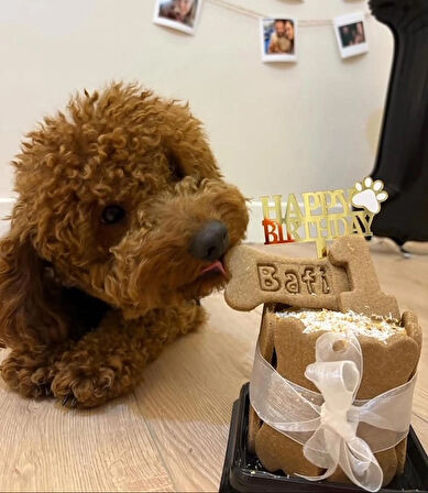 Köpekler Için Doğum Günü Pastası/ Ödül Maması %100 Doğal Ve Taze!