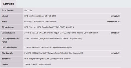 HPE DL380 Gen11 Gold 5416S-64GB-2x480G-2U (P81784)