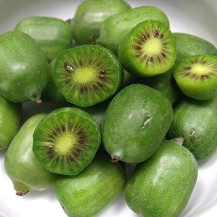 2 Yaşında Tüplü 2 Adet Kırmızı Yeşil Mini Kivi (Actinidia arguta 'Issai') Fidanı - Bahçenize Renk ve Lezzet Katın
