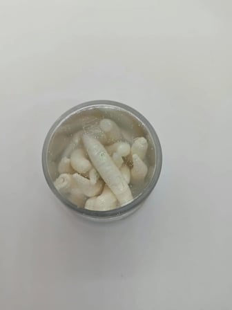Renat Trout Bait Peynirli Silikon Kurtçuk Alabalık Yemi – Beyaz