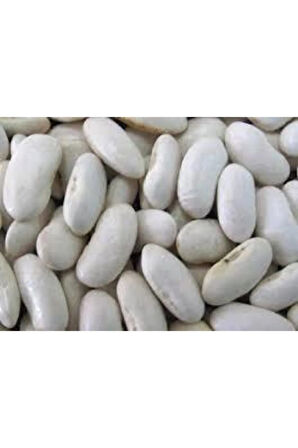 100 Adet Beyaz Fasulye Tohumu