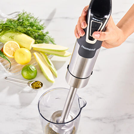 Homend Handmaid 1964H Inox El Blenderı