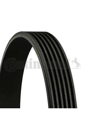 Kanallı Kayıs Palıo-albea -doblo 1.3 Jtd 16v 04-astra H 1.3 Cdtı/focus Iı 1.8 06- Contı 6pk1310