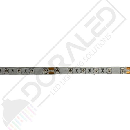 24V Şerit Led Mavi 5050 IP65 24Volt Şerit Led (5m)