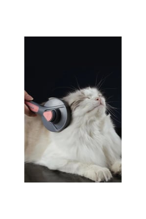 2 Adet Kendini Temizleyen Otomatik Kedi Ve Köpek Tarağı – Otomatik Tuşlu, Ergonomik Tutma Sapı, Kısa Dişli Pet Brush Self-Cleaning