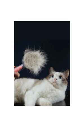 2 Adet Kendini Temizleyen Otomatik Kedi Ve Köpek Tarağı – Otomatik Tuşlu, Ergonomik Tutma Sapı, Kısa Dişli Pet Brush Self-Cleaning