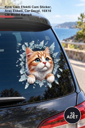 10 Adet Kedi Tasarımlı Araç Stickerı – Kırık Cam Efektli Cam Sticker, Araç Etiketi, Car Decal, 10X10 CM Model Karışık