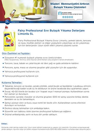 Fairy Proffesional Sıvı Elde Yıkama Deterjanı 5 lt 