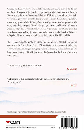 Sokço'da Kış