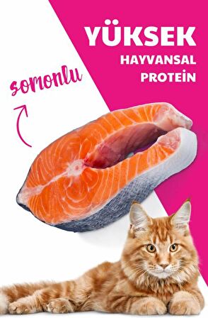 HerbaMax Sterilised Kısırlaştırılmış Somonlu ve Pirinçli Yetişkin Kedi Maması 20Kg (2x10Kg)