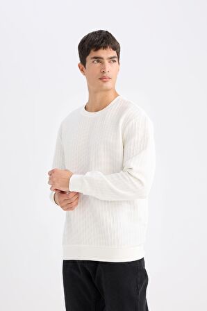 DeFacto Regular Fit Bisiklet Yaka Jakarlı Sweatshirt D5391AX24AUWT32