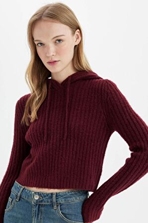 Regular Fit Kapüşonlu Triko Kazak