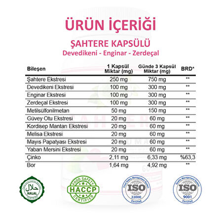 Şahtere Kapsül (FUMARİA CAPSULE) 60 Adet