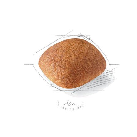 Royal Canin Golden Retriever Yetişkin Kuru Köpek Maması 12kg