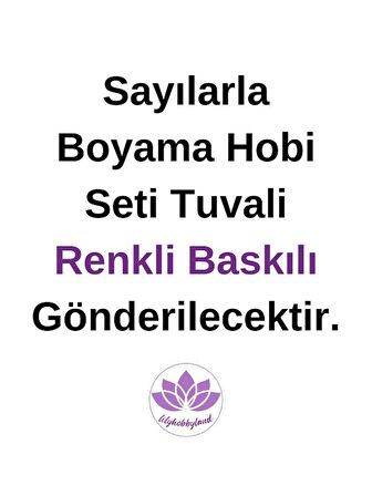 Renkli Baskılı Sayılarla Boyama Hobi Seti (Çerçeveli) 40x50 cm: Renkli Fil