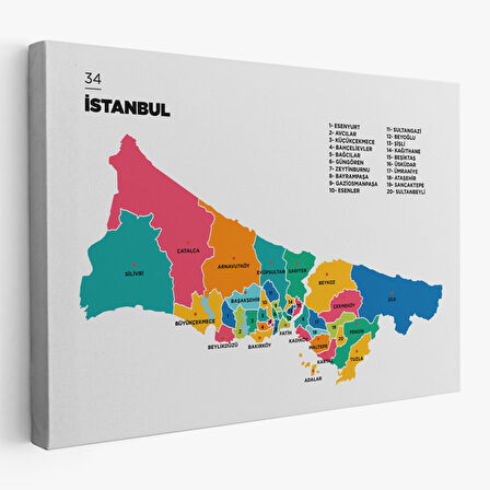 İstanbul İli ve İlçeler Haritası Dekoratif Kanvas Tablo 1364