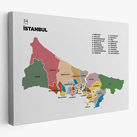 İstanbul İli ve İlçeler Haritası Dekoratif Kanvas Tablo 1365