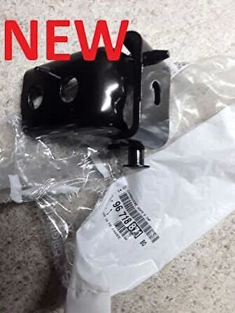 Ön Kapı Menteşesi Sol-Alt Psa 2008 1.6 2016 (Oem No: 9671887180)