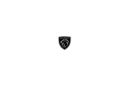 Arka Aslan Amblem Psa 308 (P5) B.M 2021- (Oem No: 98371008Dx)