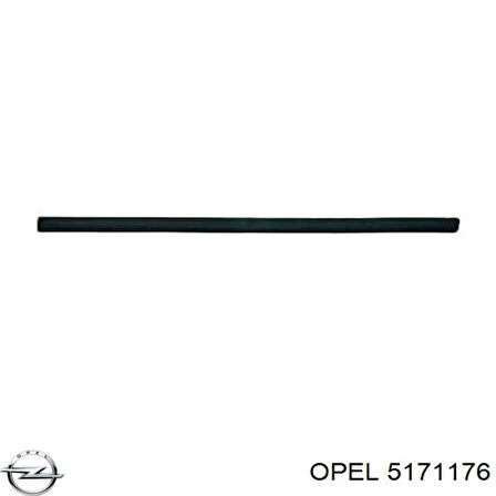 Kapı Bandı Ön Sag Opel Merıva A Bm 03- (Oem No: 5171176)