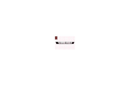 Tampon Izgarası Atos Ön 06-09 (Oem No: 86561-05600)
