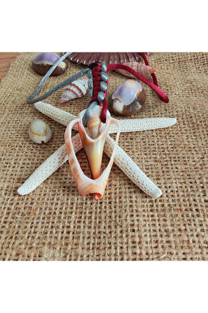 Deniz Kabuğu Kolye - 12446