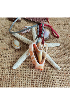 Deniz Kabuğu Kolye - 12446