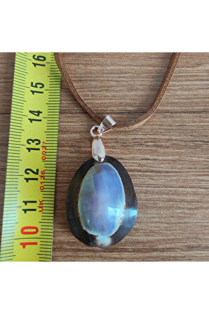 Kolye - Deniz Ürünleri - 12529